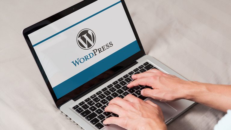 wordPress建站-海南网站建设解决方案