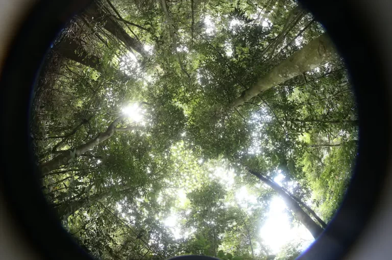 霸王岭VR之旅：原生态海南VR全景拍摄的极致艺术